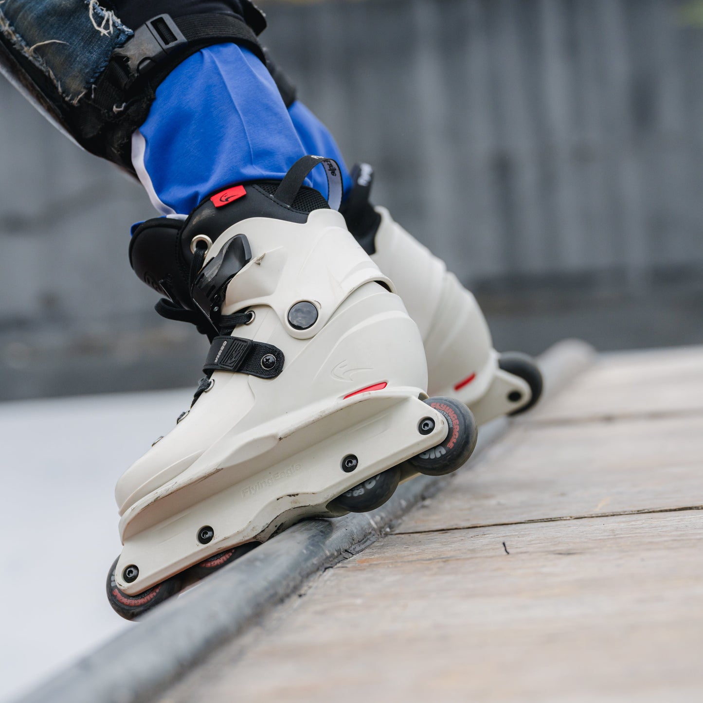 White FlyingEagle VIREO adjustable skates, skater staying on the edge of the bowl pool