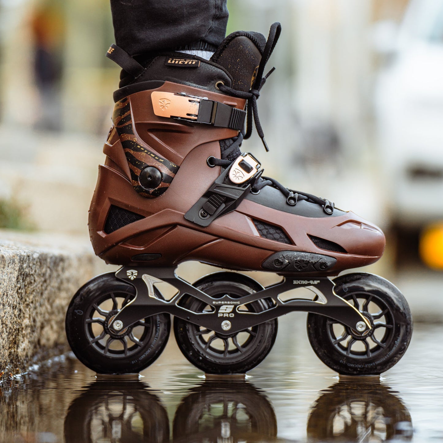 Adult skater long-distance marathon skating with FlyingEagle OPTIMUM TRI 3*110mm skates

